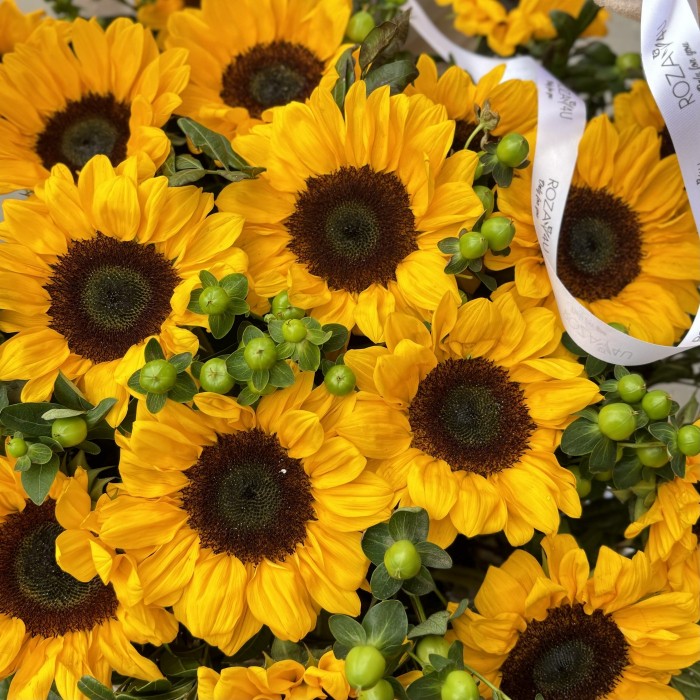 17 подсолнухов с гиперикумом в корзине