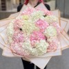 17 розовых и белых гортензий