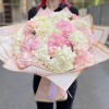 17 розовых и белых гортензий