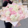17 розовых и белых гортензий