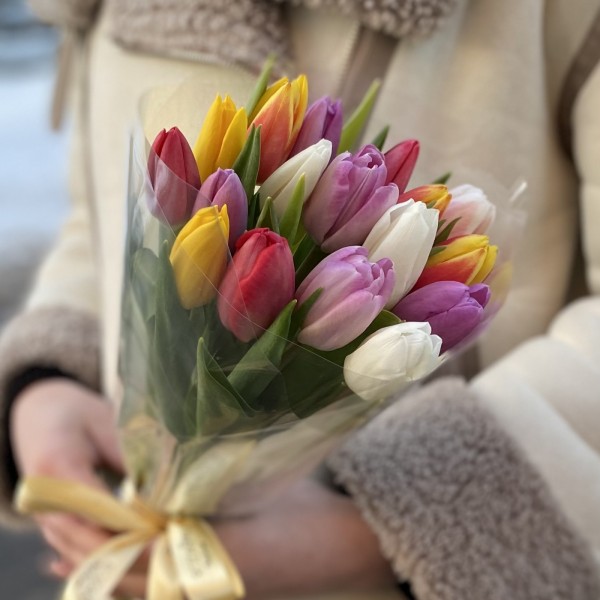 17 тюльпанов микс в прозрачной упаковке