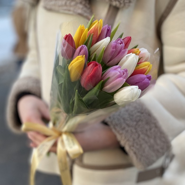 17 тюльпанов микс в прозрачной упаковке