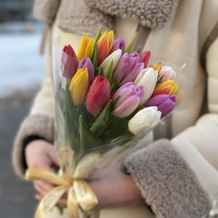 17 тюльпанов микс в прозрачной упаковке