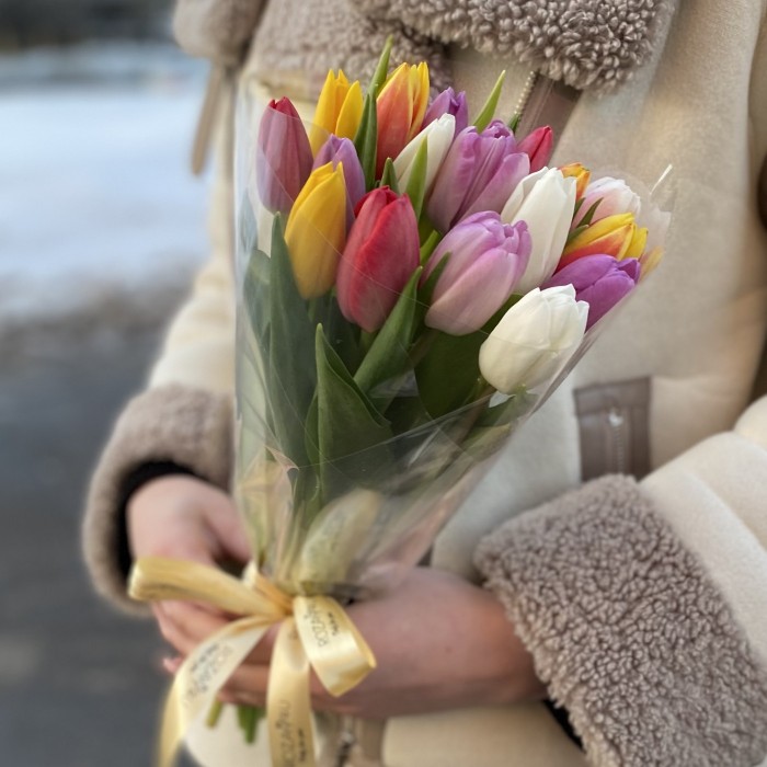 17 тюльпанов микс в прозрачной упаковке