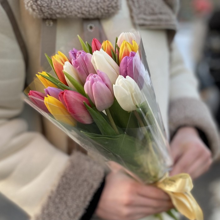 17 тюльпанов микс в прозрачной упаковке