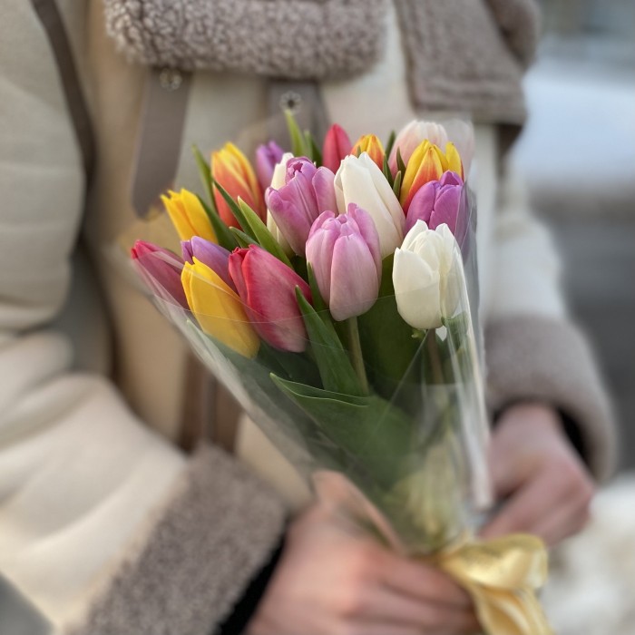 17 тюльпанов микс в прозрачной упаковке