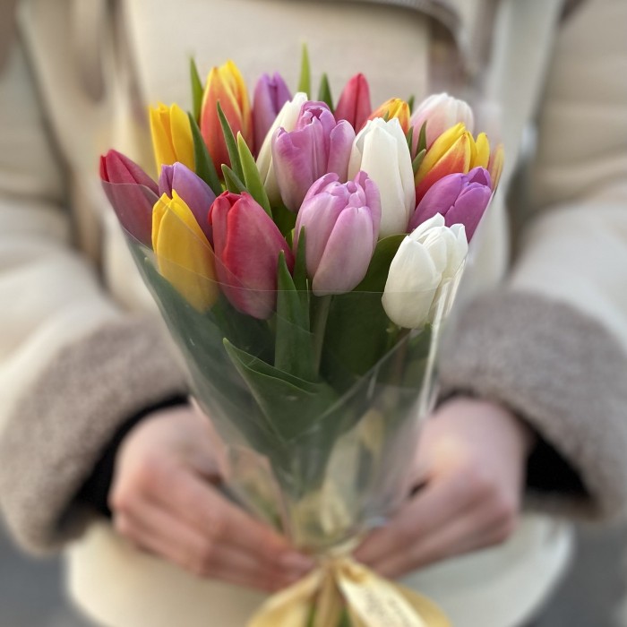 17 тюльпанов микс в прозрачной упаковке