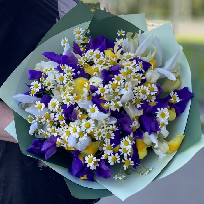 17 ярких ирисов с ромашками