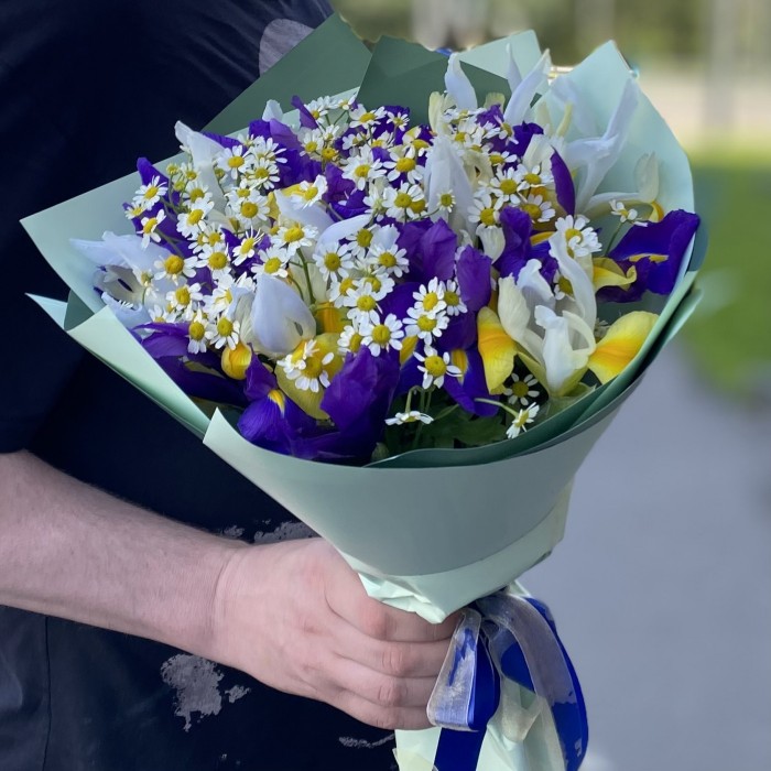 17 ярких ирисов с ромашками