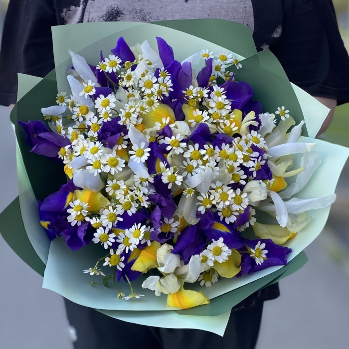 17 ярких ирисов с ромашками