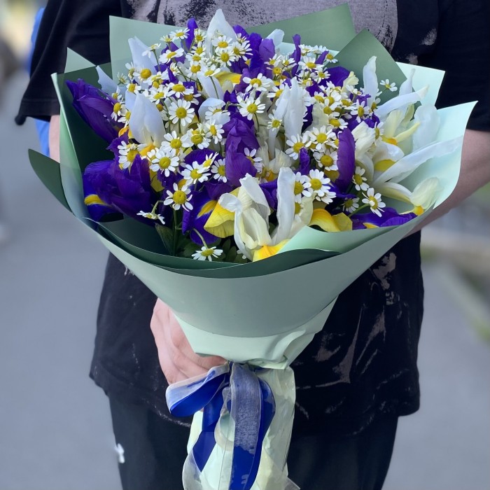 17 ярких ирисов с ромашками
