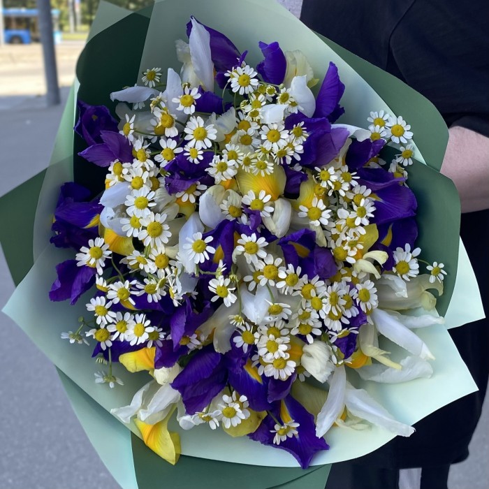 17 ярких ирисов с ромашками