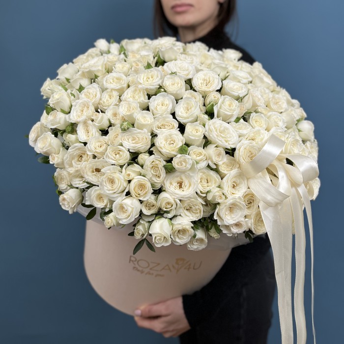 51 ароматная белая роза Сноу бабл в коробке
