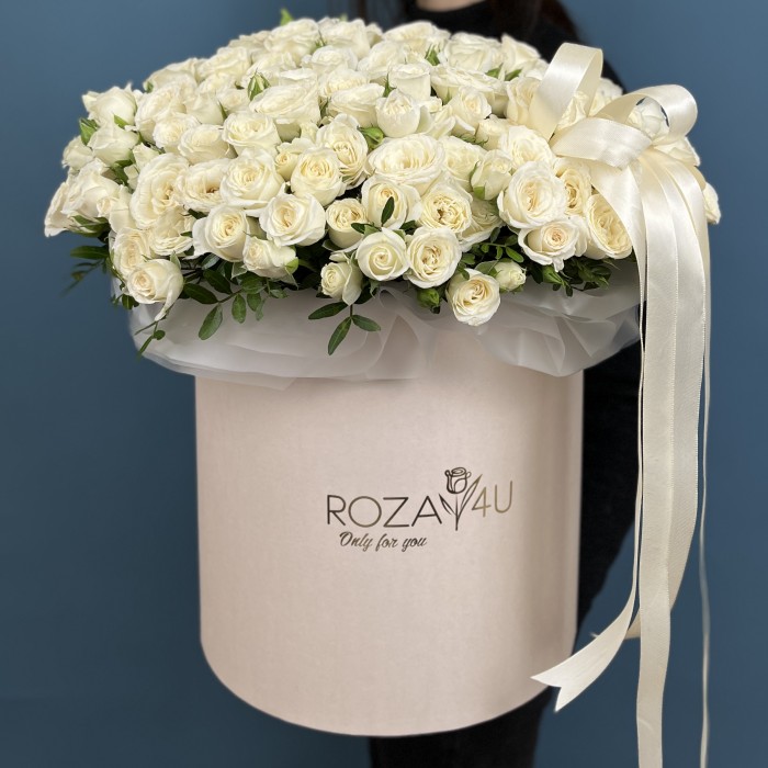 51 ароматная белая роза Сноу бабл в коробке