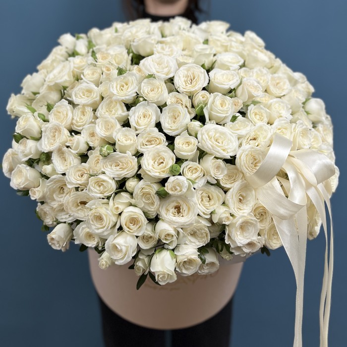 51 ароматная белая роза Сноу бабл в коробке