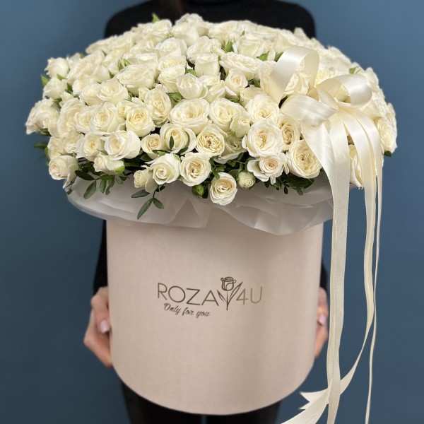 51 ароматная белая роза Сноу бабл в коробке