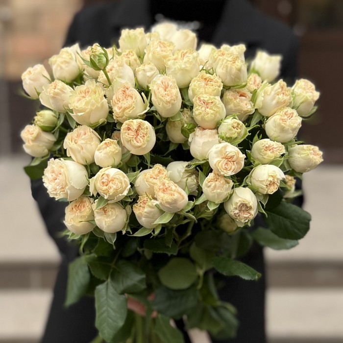 15 кустовых пионовидных роз Саммер-роз 50 см