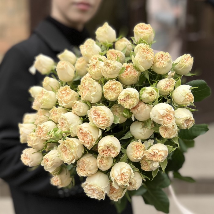 15 кустовых пионовидных роз Саммер-роз 50 см