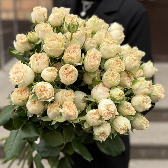 15 кустовых пионовидных роз Саммер-роз 50 см