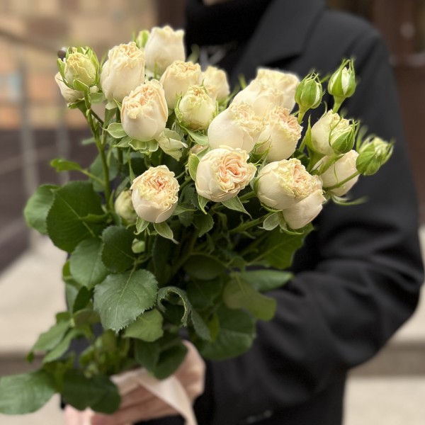 3 кустовые пионовидные розы Саммер-роз 50 см