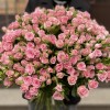 51 розовая кустовая роза Одилия 60 см