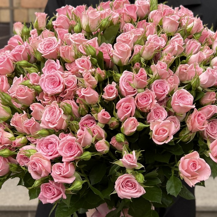 51 розовая кустовая роза Одилия 60 см