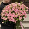 51 розовая кустовая роза Одилия 60 см