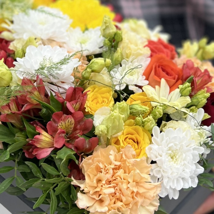 Радужная поляна яркий MIX