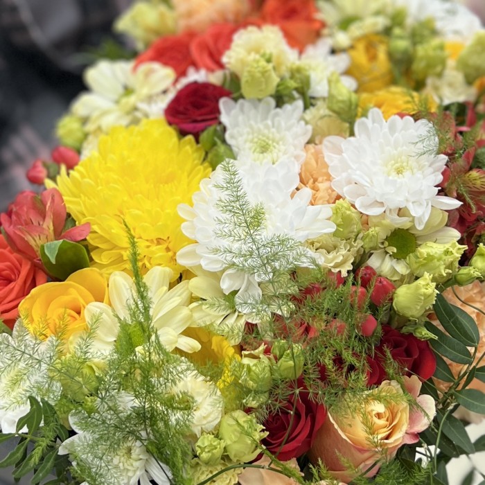 Радужная поляна яркий MIX