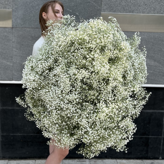 101 белая гипсофила