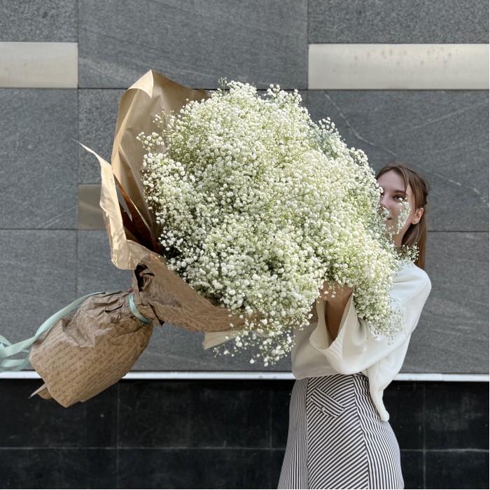 101 белая гипсофила