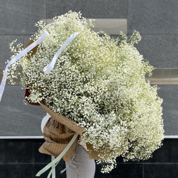 101 белая гипсофила