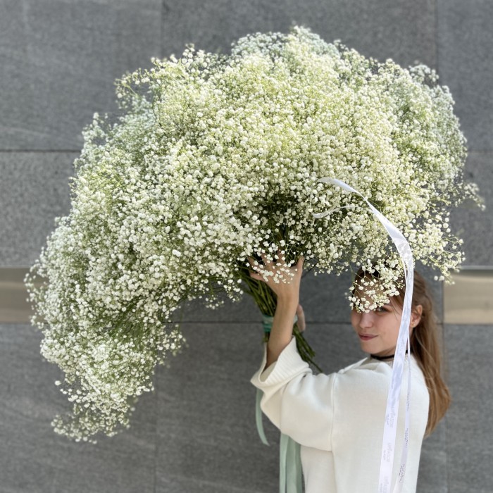 101 белая гипсофила