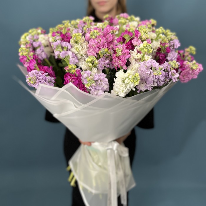 101 маттиола яркий MIX