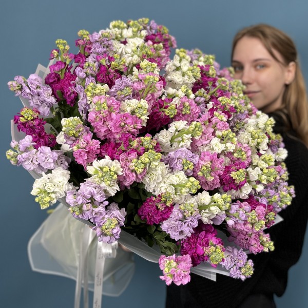 101 маттиола яркий MIX