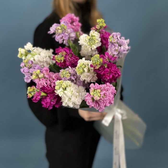 15 маттиол яркий MIX