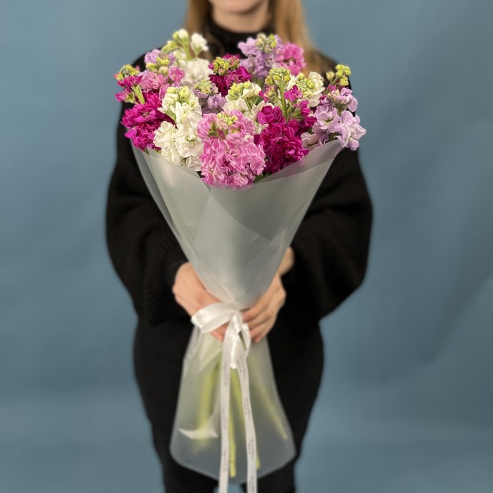 15 маттиол яркий MIX