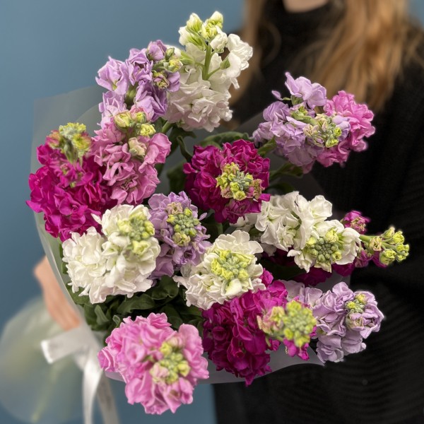 15 маттиол яркий MIX