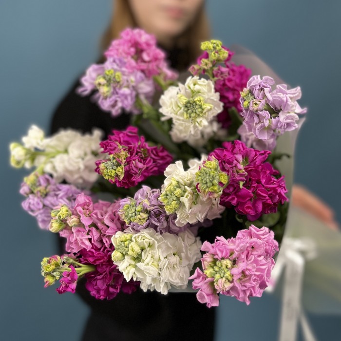 15 маттиол яркий MIX