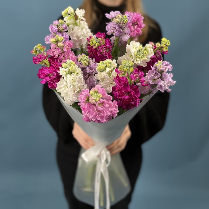 15 маттиол яркий MIX