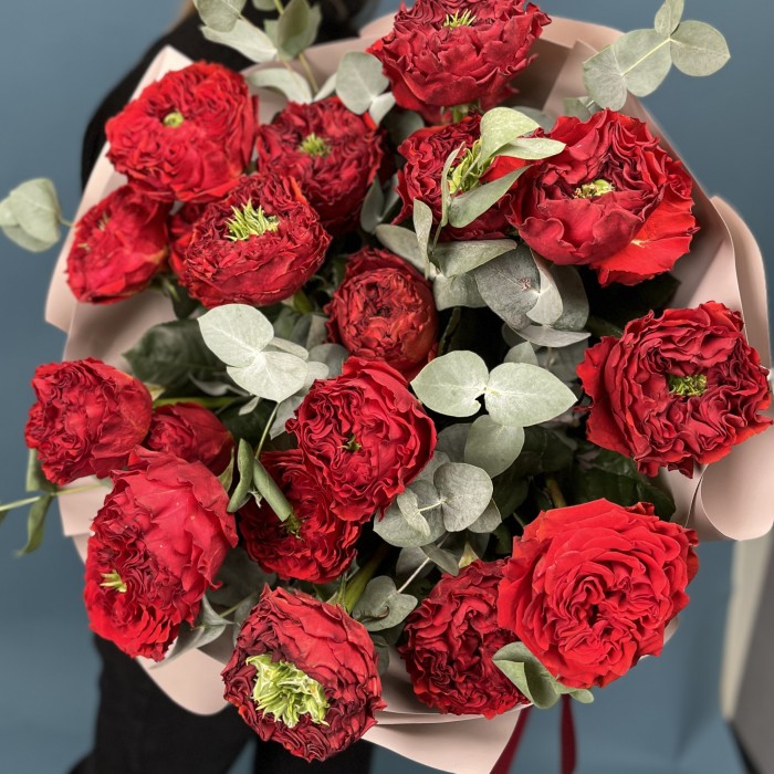 21  красная пионовидная Роза Ред монстер 50 см с эвкалиптом