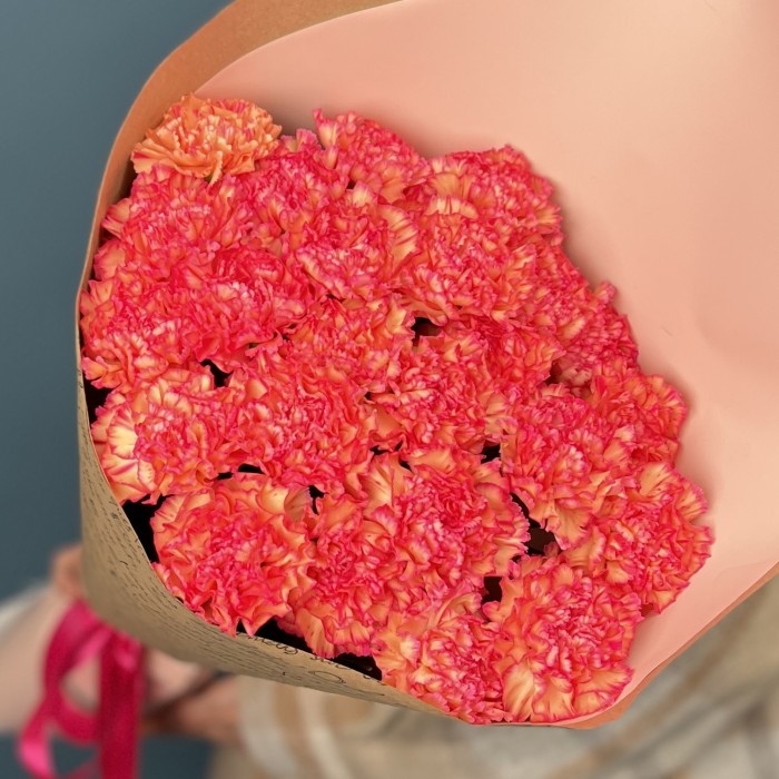 25 кремовых гвоздик с розовым краем