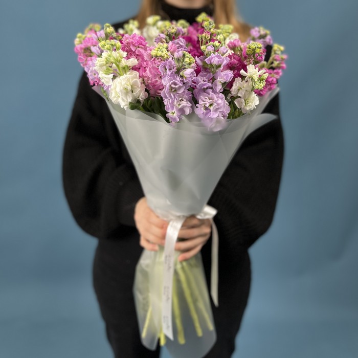 25 маттиол яркий MIX