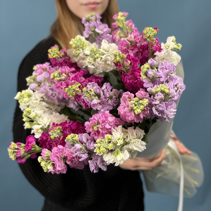 25 маттиол яркий MIX