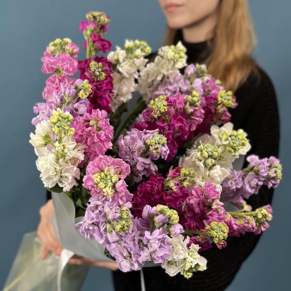 25 маттиол яркий MIX