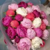 Букет из 25 ярких пионов MIX