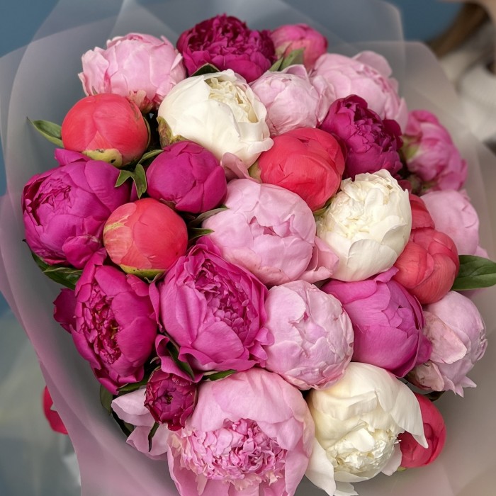 Букет из 25 ярких пионов MIX