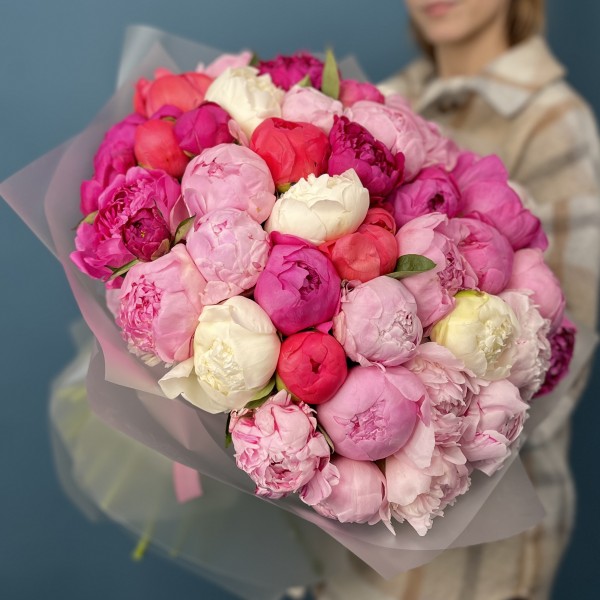 Букет из 51 яркого пиона MIX