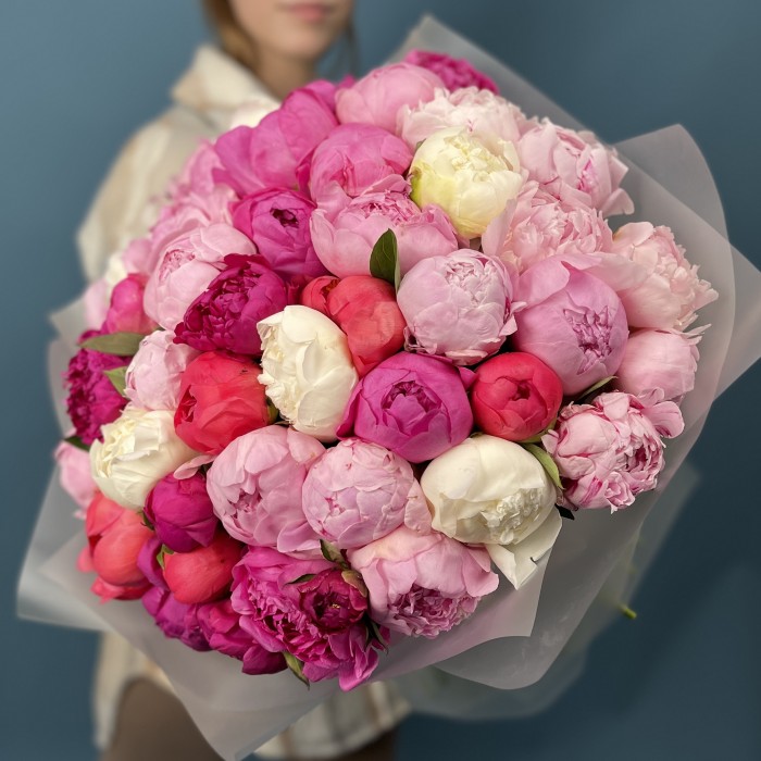 Букет из 51 яркого пиона MIX