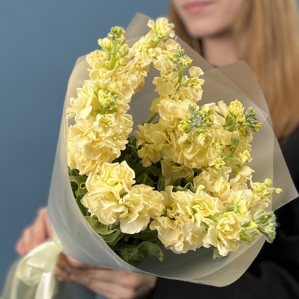 9 кремовых ароматных маттиол